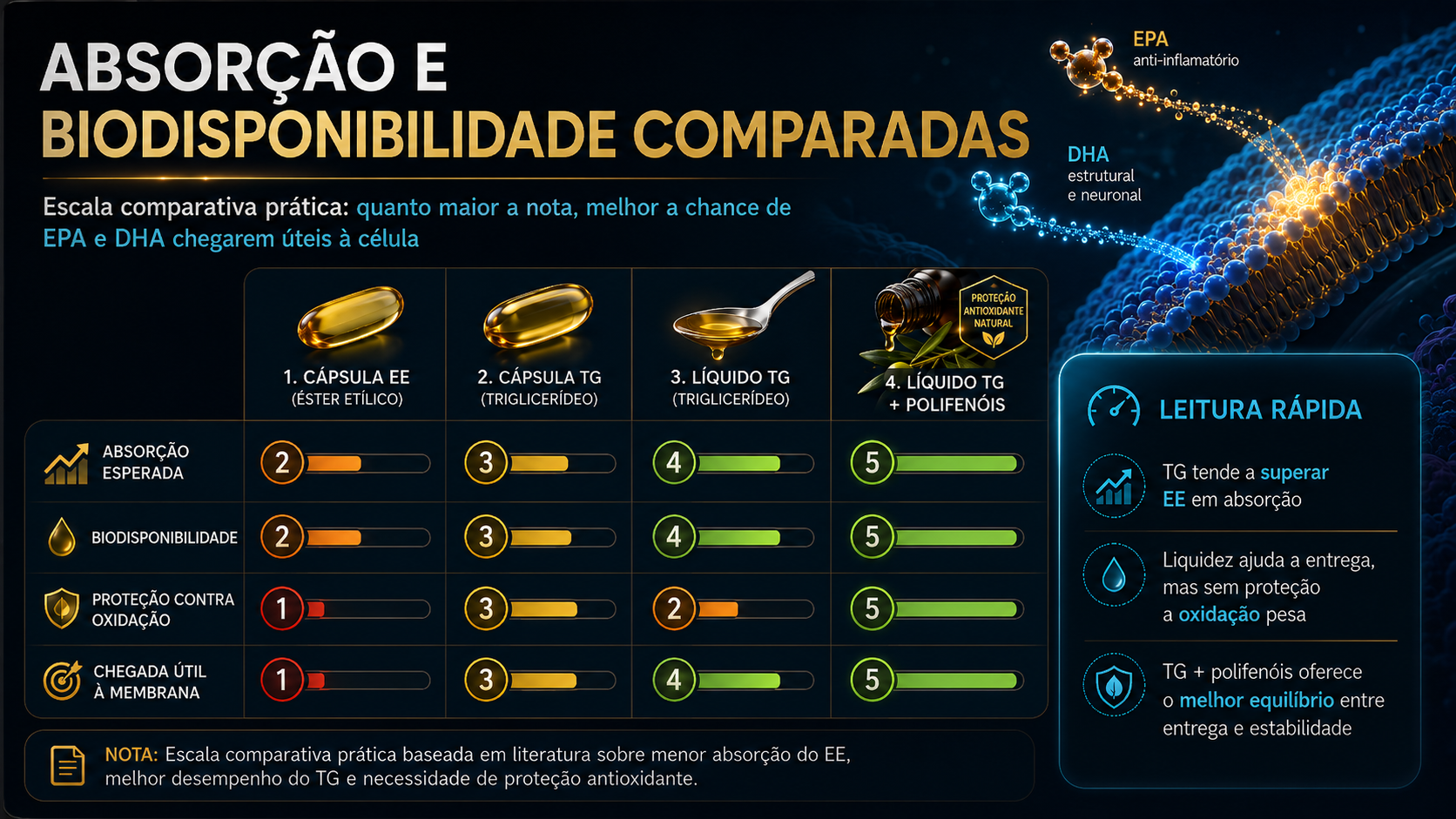 Absorção e biodisponibilidade comparadas — EE Cápsula vs TG Cápsula vs Líquido TG vs Líquido TG com Polifenóis