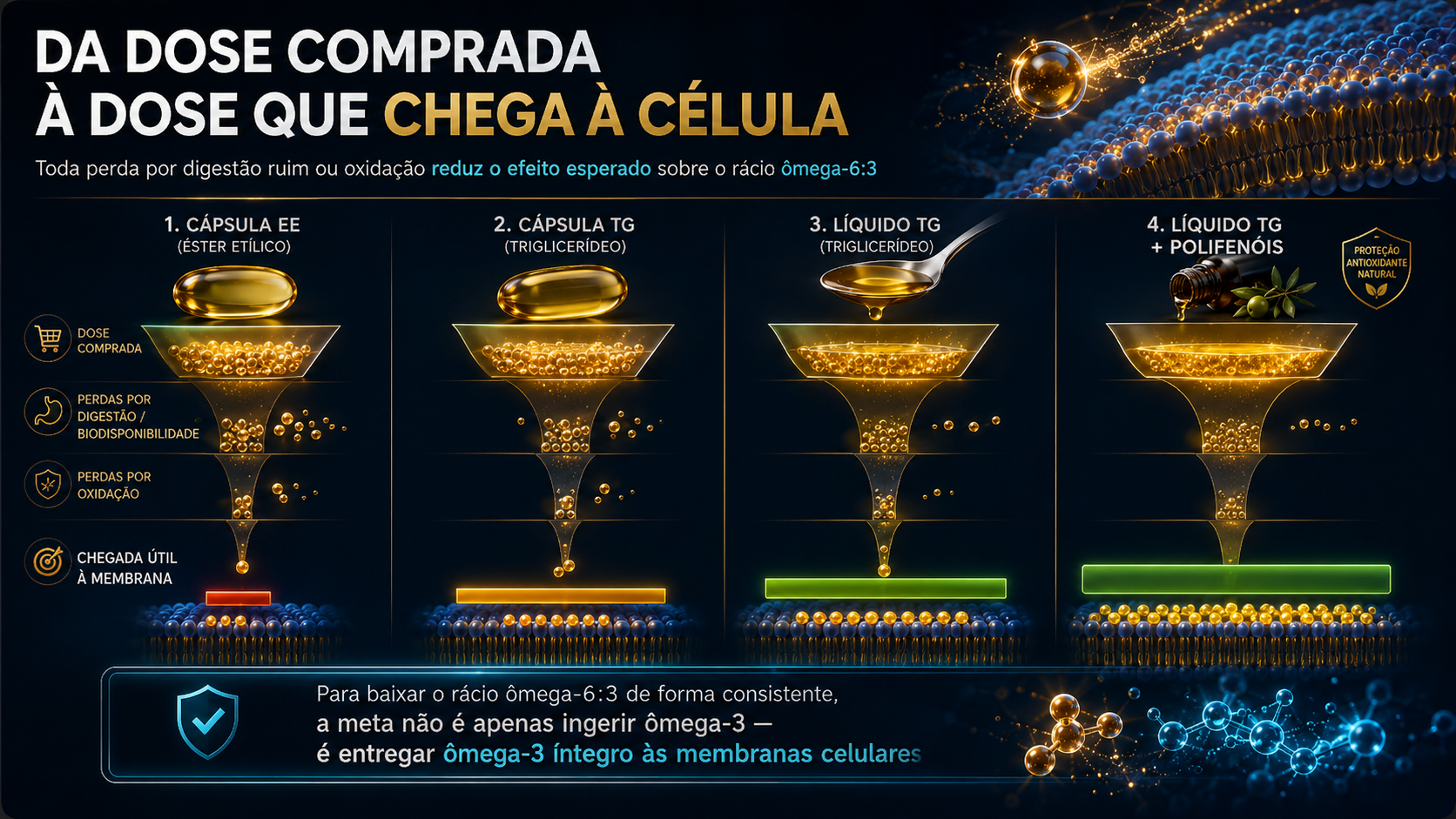 Da dose comprada à dose que chega à célula — perdas por digestão, oxidação e biodisponibilidade